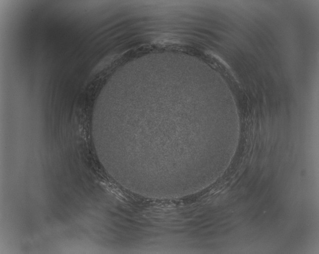 X0000074970919200609081407