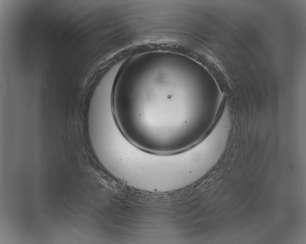 X0000074970920200609081407