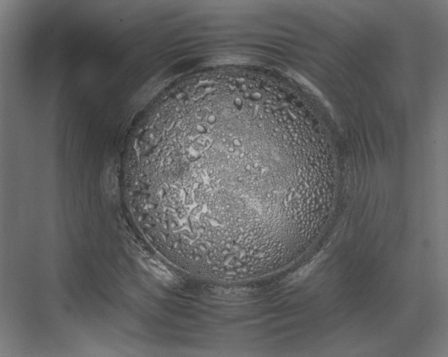 X0000074970921200609081407