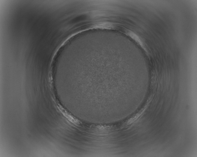 X0000074970923200609081407