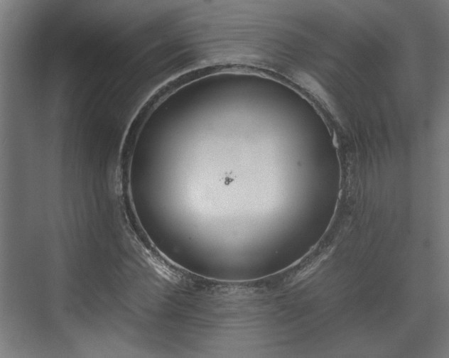 X0000074970924200609081407