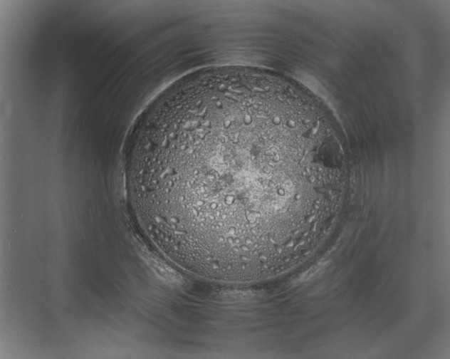 X0000074970925200609081407