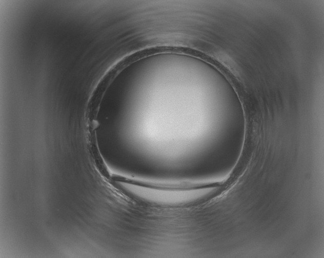 X0000074970926200609081407