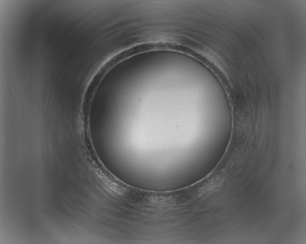 X0000074970927200609081407