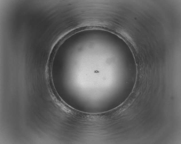 X0000074970928200609081407