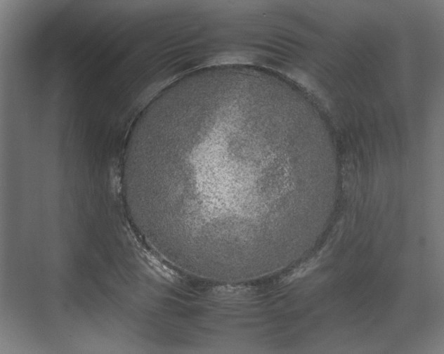 X0000074970929200609081407