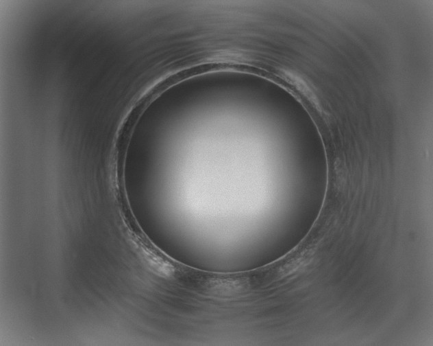 X0000074970931200609081407