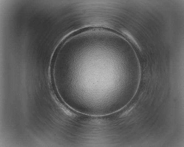 X0000074970932200609081407