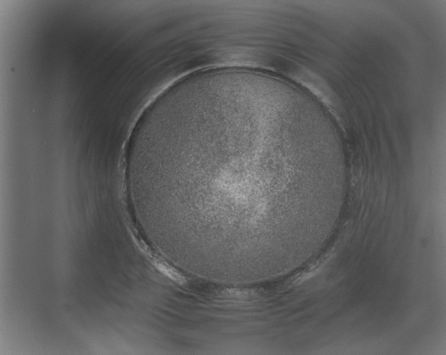 X0000074970933200609081407