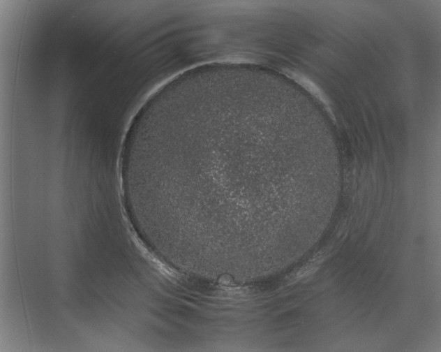 X0000074970935200609081408