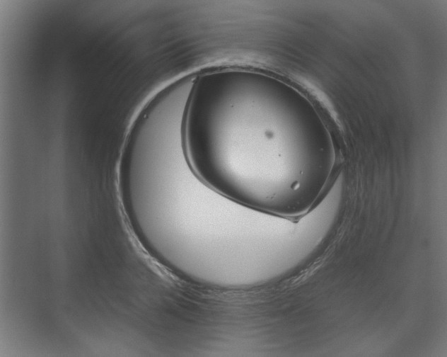 X0000074970936200609081408