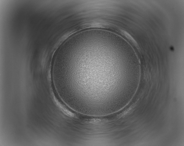 X0000074970938200609081408