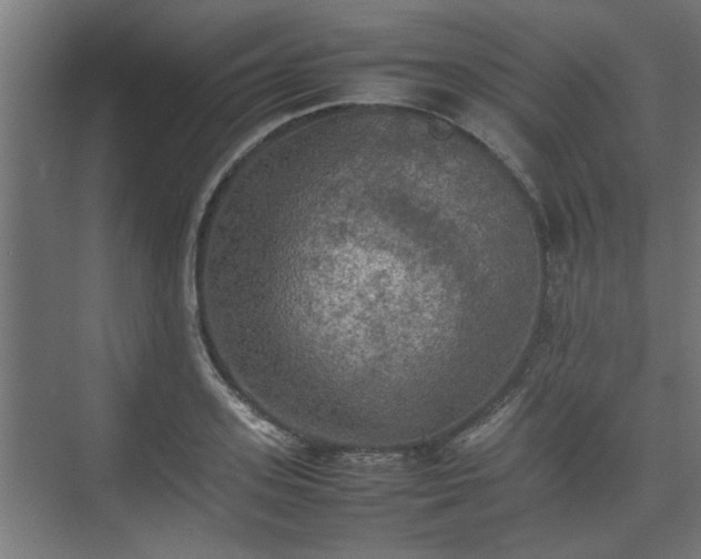 X0000074970939200609081408