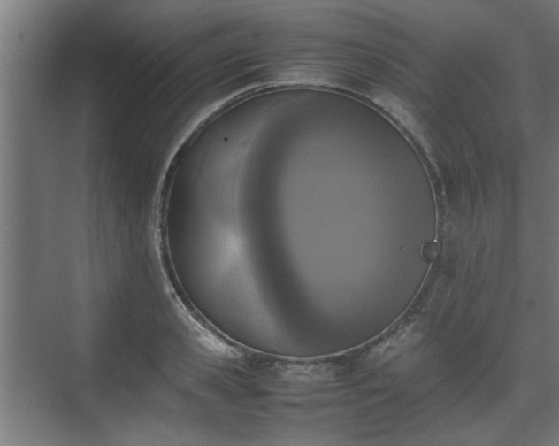 X0000074970941200609081408