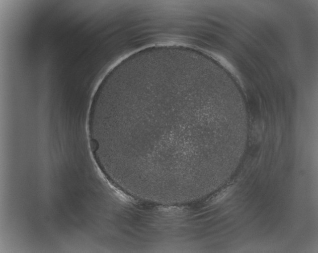 X0000074970943200609081408