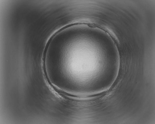 X0000074970944200609081408