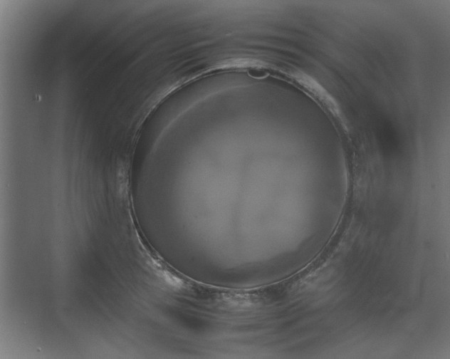 X0000074970945200609081408