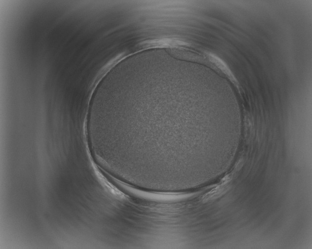 X0000074970946200609081408