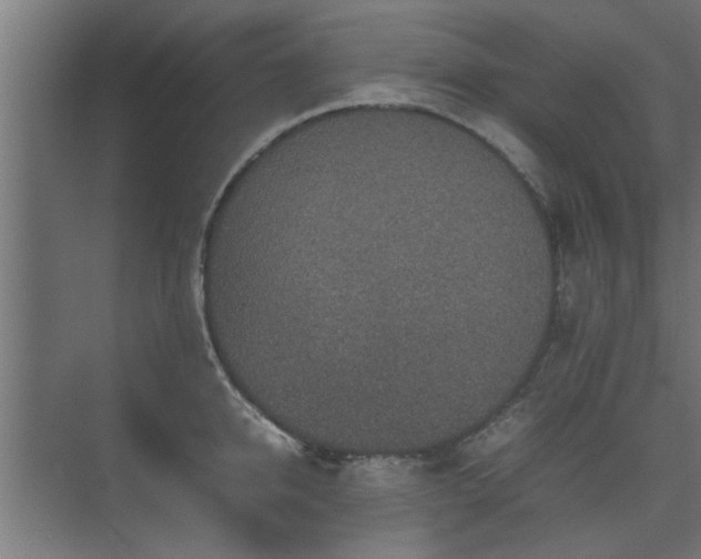 X0000074970950200609081408