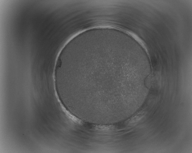 X0000074970951200609081408