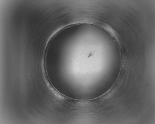 X0000074970952200609081408