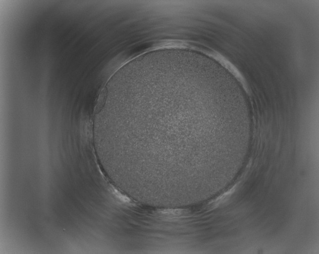 X0000074970953200609081408