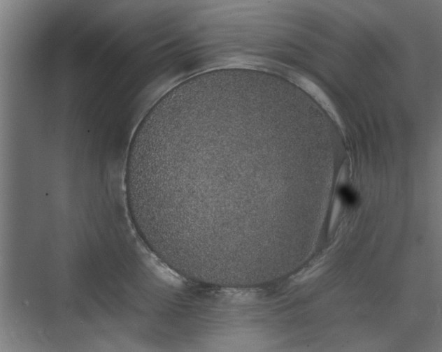 X0000074970954200609081408