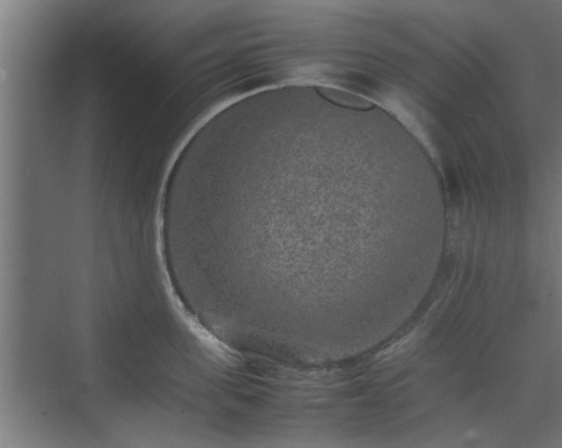 X0000074970955200609081408