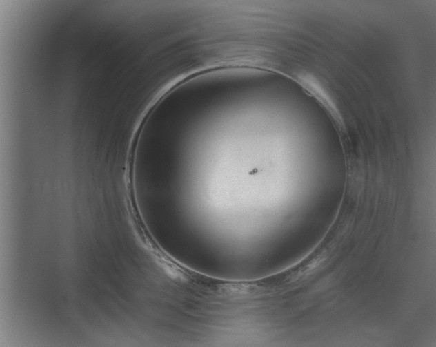 X0000074970956200609081408