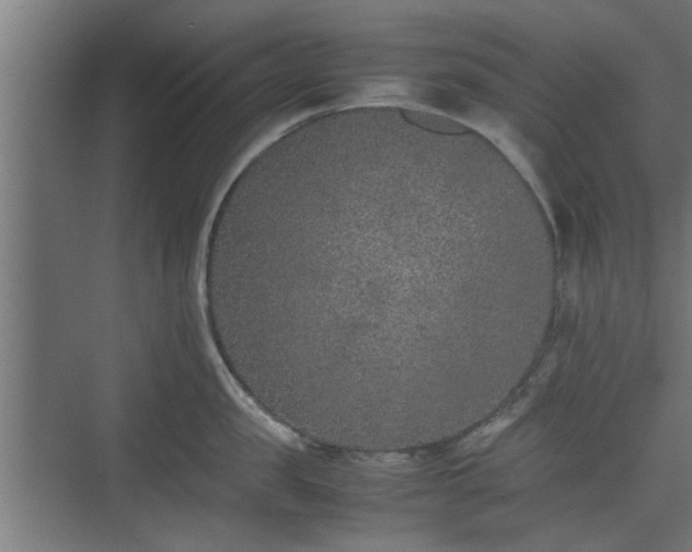 X0000074970957200609081408