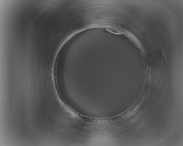 X0000074970958200609081408