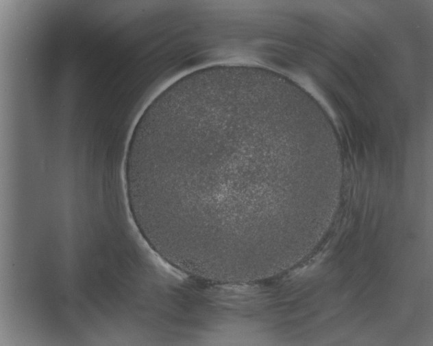 X0000074970959200609081408