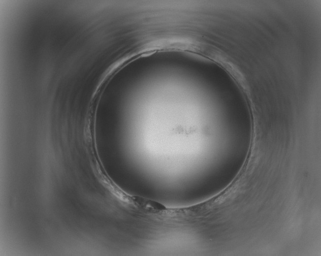 X0000074970960200609081408