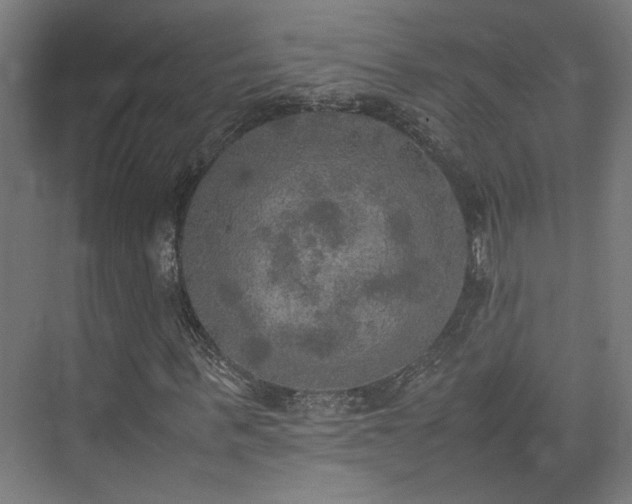 X0000074970963200609081407