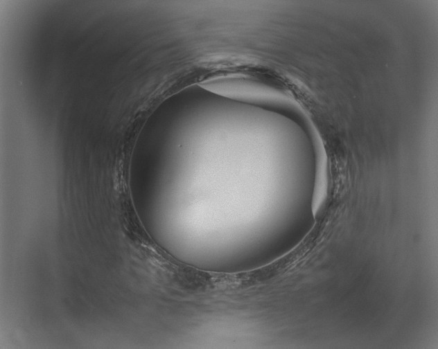 X0000074970965200609081407