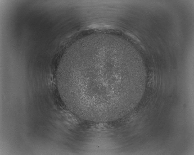 X0000074970966200609081407