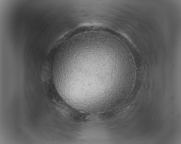 X0000074970967200609081407