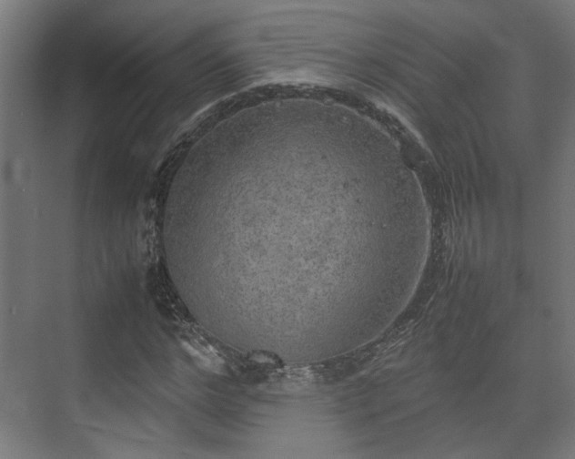 X0000074970968200609081407