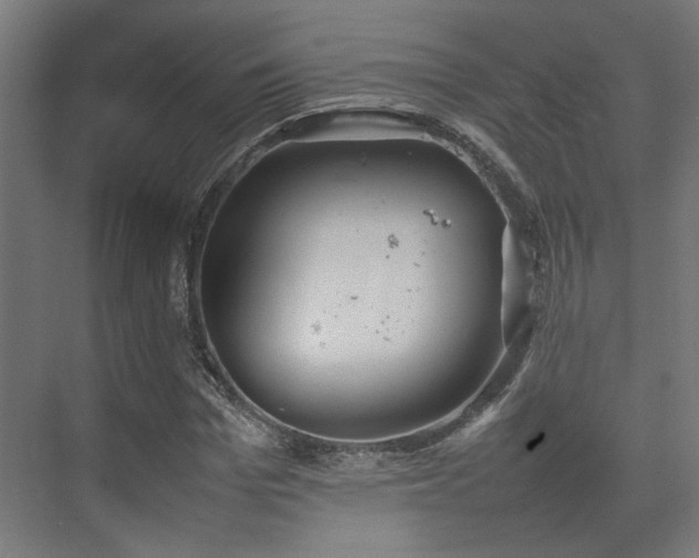 X0000074970969200609081407