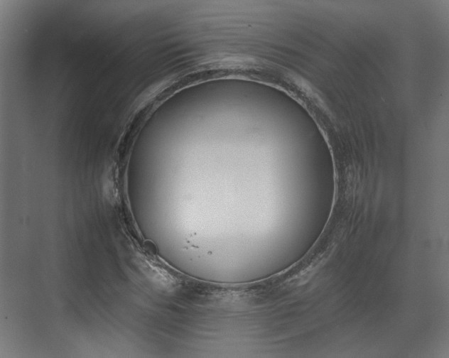 X0000074970970200609081407