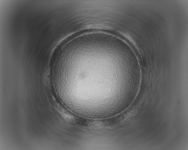 X0000074970971200609081407