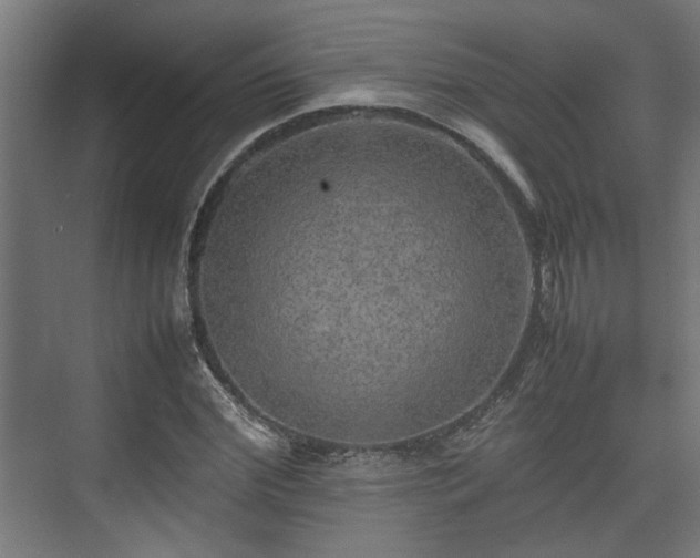 X0000074970972200609081407