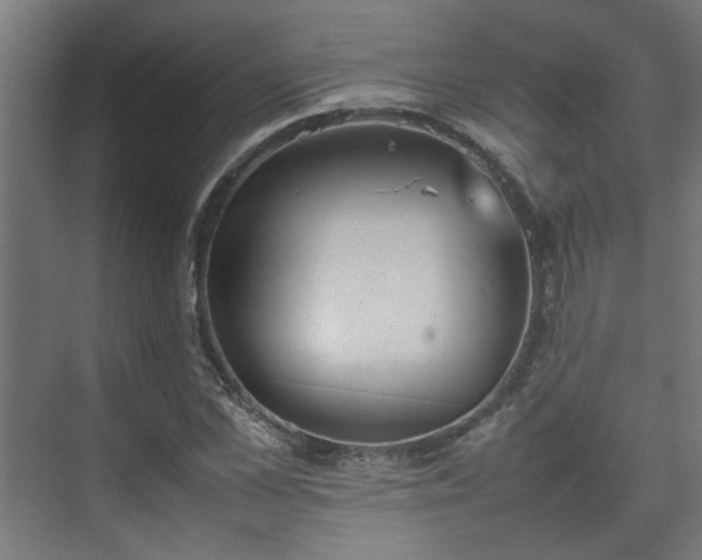 X0000074970973200609081407