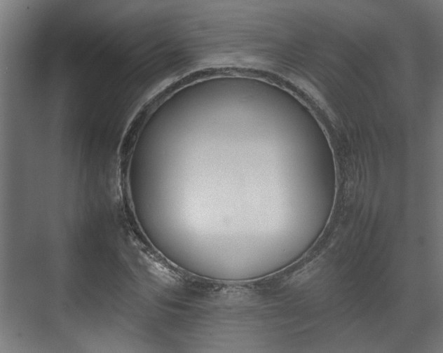 X0000074970974200609081407