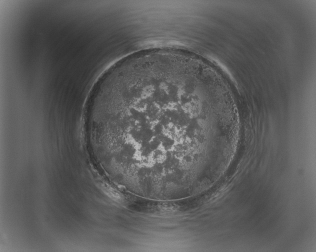 X0000074970975200609081407