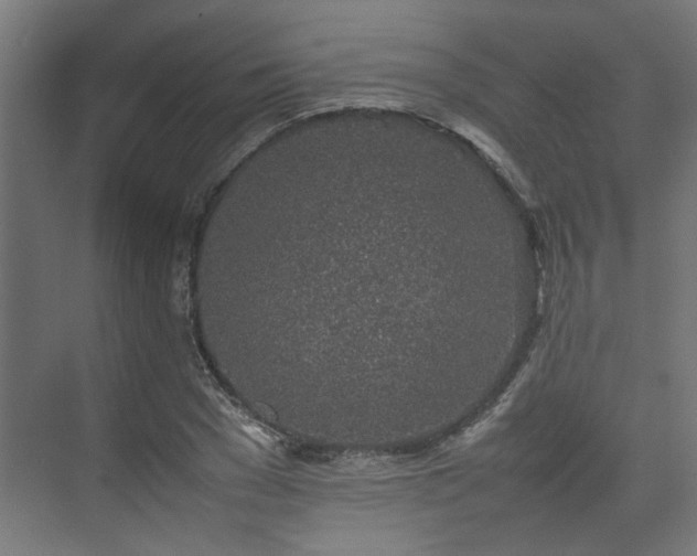 X0000074970977200609081407