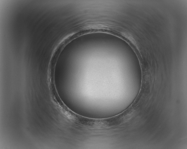 X0000074970979200609081407