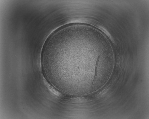 X0000074970980200609081407