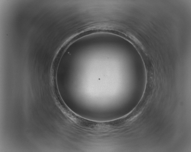 X0000074970981200609081407