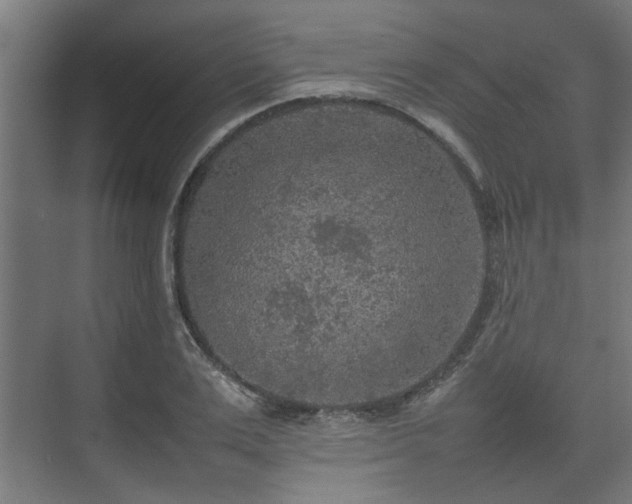 X0000074970983200609081407